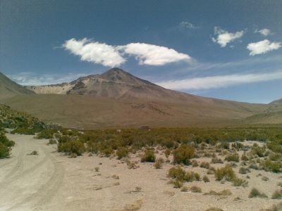 Intorno al Salar de Surire
