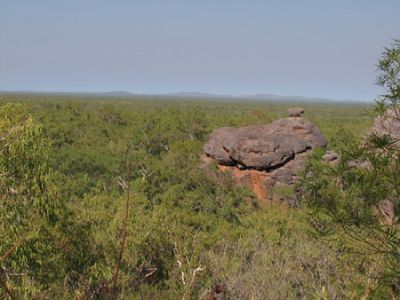 Vista dal Gunwarddehwardde lookout verso il Savanna Woodland che consiste in gran parte di eucalipti ed erbe alte
