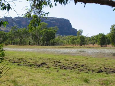 Anbangbang Billabong e Nourlangie Rock
