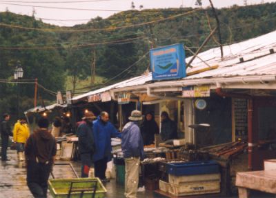 Puerto Montt - AngelmÃ³
