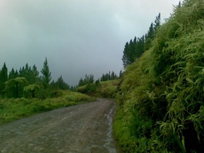 Nuku Hiva - paesaggio alpino nel centro dell'isola
